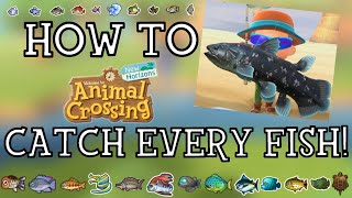 How To Catch Every Fish in Animal Crossing New Horizons  New Horizons Fishing Guide [upl. by Oznofla]