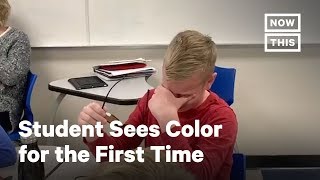 Student Sees Color for First Time With EnChroma Glasses  NowThis [upl. by Chrystel]