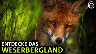 Das Weserbergland ‒ Sagenhaftes Niedersachsen  Erlebnis Erde [upl. by Akiehsal]