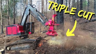 TimberPro TL775D  Triple Cutting Monster Timber [upl. by Vanda]