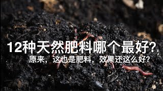 12种天然肥料一个比一个好！菜园丰收全靠它们了。 [upl. by Veneaux]