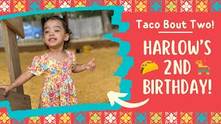 Harlow’s 2nd Birthday Fiesta 🪅 🌮 [upl. by Gerson]