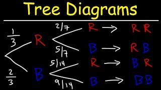 Probability Tree Diagrams [upl. by Ariem443]