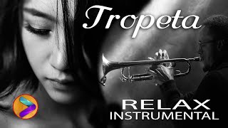 TROMPETA RELAX INSTRUMENTAL🎺🎺 [upl. by Bred]