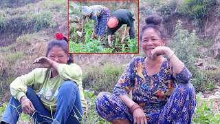 jungle man family farming junglefamilycooking [upl. by Jocelin]