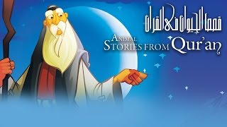 قصص الحيوان في القرآن  تتر البداية  Animal Stories from Quran  Intro [upl. by Lorenz808]