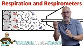 Respiration and Respirometers [upl. by Kirk918]