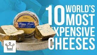 Top 10 Most Expensive Cheeses In The World [upl. by Toomay]