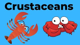 Characteristics of Crustaceans [upl. by Ailil]