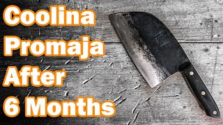 TRUTH of Serbian Chef Knife After 6 Months [upl. by Kara-Lynn938]