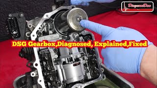 DSG Gearbox Diagnosed explained Fixed [upl. by Negriv]