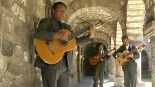 TRIO AYACUCHO  Huerfano pajarillo wayno [upl. by Aissak435]