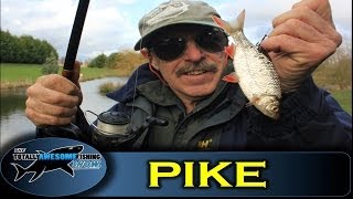 Pike fishing tips  Live Baiting by TAFishing Show [upl. by Kannry]