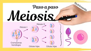 MEIOSIS Paso a Paso [upl. by Erickson781]