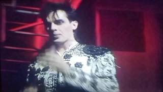 Bauhaus TOTP Trilogy 198283 [upl. by Britt]