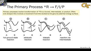 14 Stages of Photochemical Reactions [upl. by Toh]