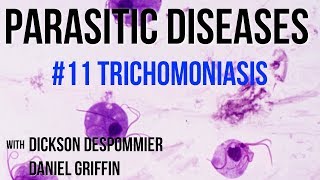 Parasitic Diseases Lectures 11 Trichomoniasis [upl. by Vittorio]