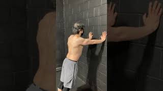 Wall Serratus Anterior Pushup [upl. by Antrim15]