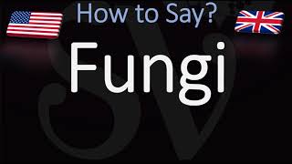 How to Pronounce Fungi [upl. by Datnow]