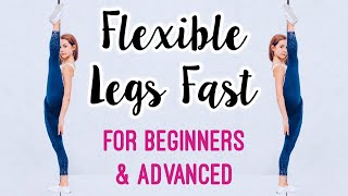 Get Flexible Legs Stretches for Leg amp Hip Flexibility [upl. by Ardnauqal775]