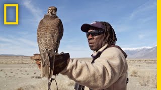 Hunting With Falcons How One City Man Found His Calling in the Wild  Short Film Showcase [upl. by Dambro]