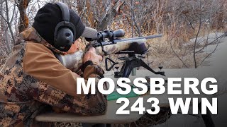 Mossberg 243 Win Starter Rifle [upl. by Atilam]