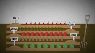 What is food insecurity An explanation [upl. by Mandych]