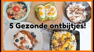 5 Recepten voor een Gezond Ontbijt  OPTIMAVITA [upl. by Bornie]