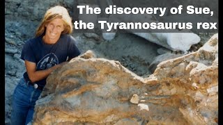 12th August 1990 Sue the Tyrannosaurus rex discovered by Susan Hendrickson [upl. by Nicram]