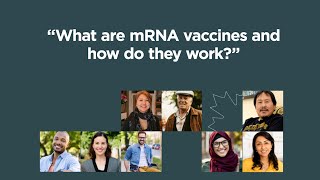 What are mRNA vaccines and how do they work [upl. by Enella]