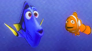 Best of Finding Nemos Dory Finding Dory [upl. by Hirsh]