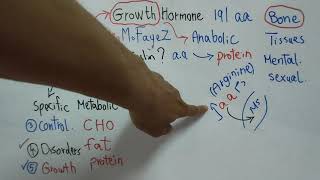 How Hormones Work An Easier Approach to Endocrinology [upl. by Zollie669]