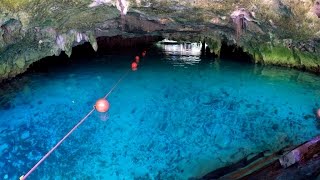 Grand Cenote Tulum Quintana Roo Yucatan Mexico Cenotes Cave Grotto POV swimming snorkeling GoPro 4K [upl. by Reuben]