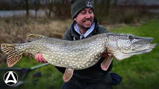 Episode 9  Big Pike fishing with dead baits [upl. by Sabella]